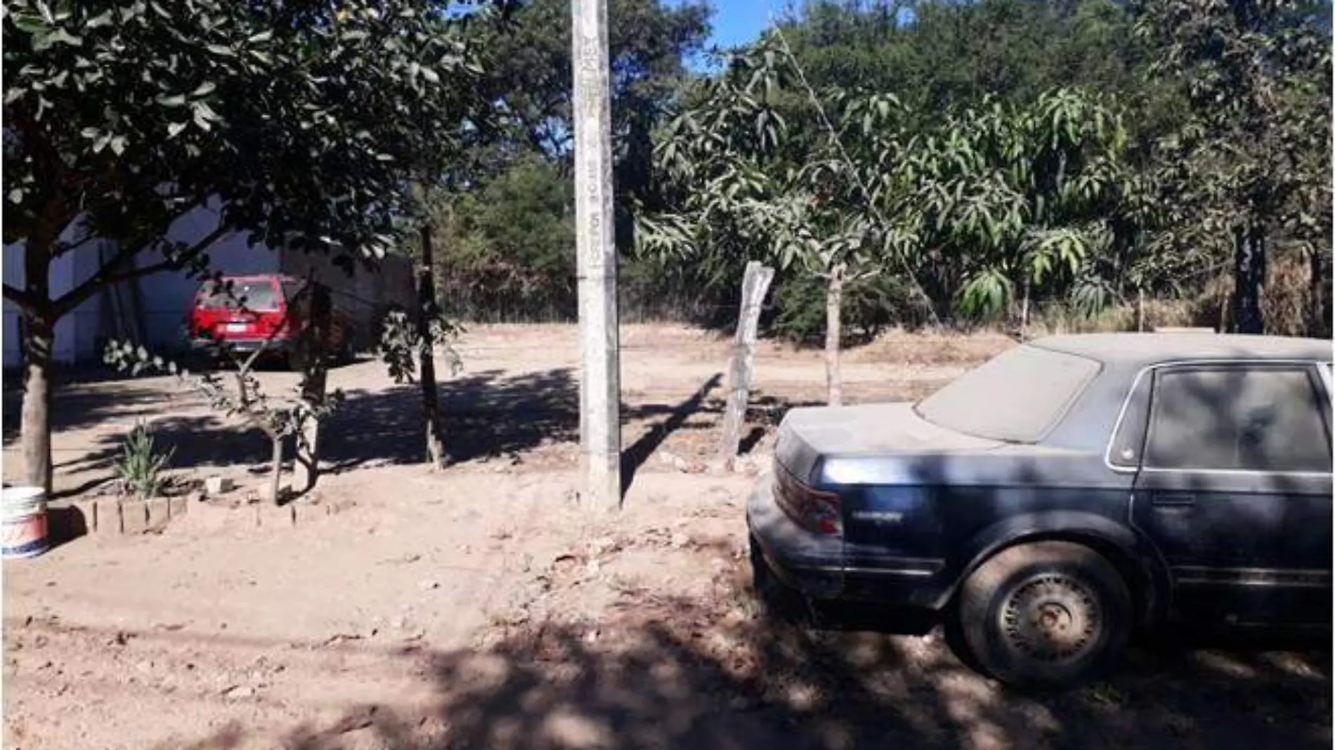 Osamenta en Puerto Vallarta nueva